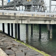 公共 港湾工事（桟橋補強工）その4